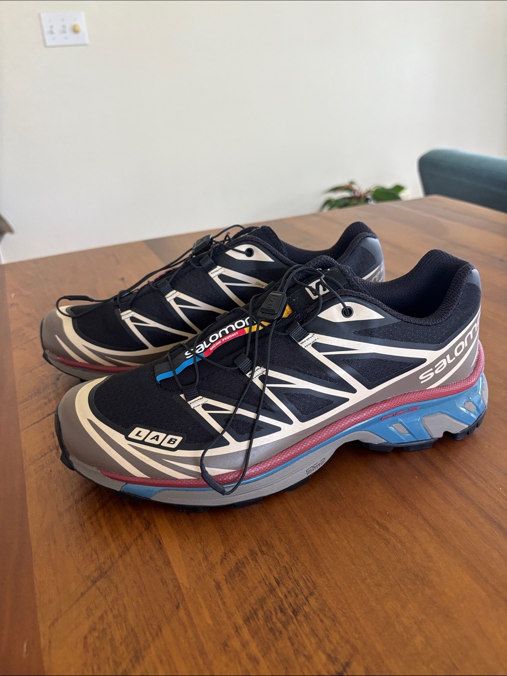 Salomon Black Sneakers with Blue and Maroon Accents